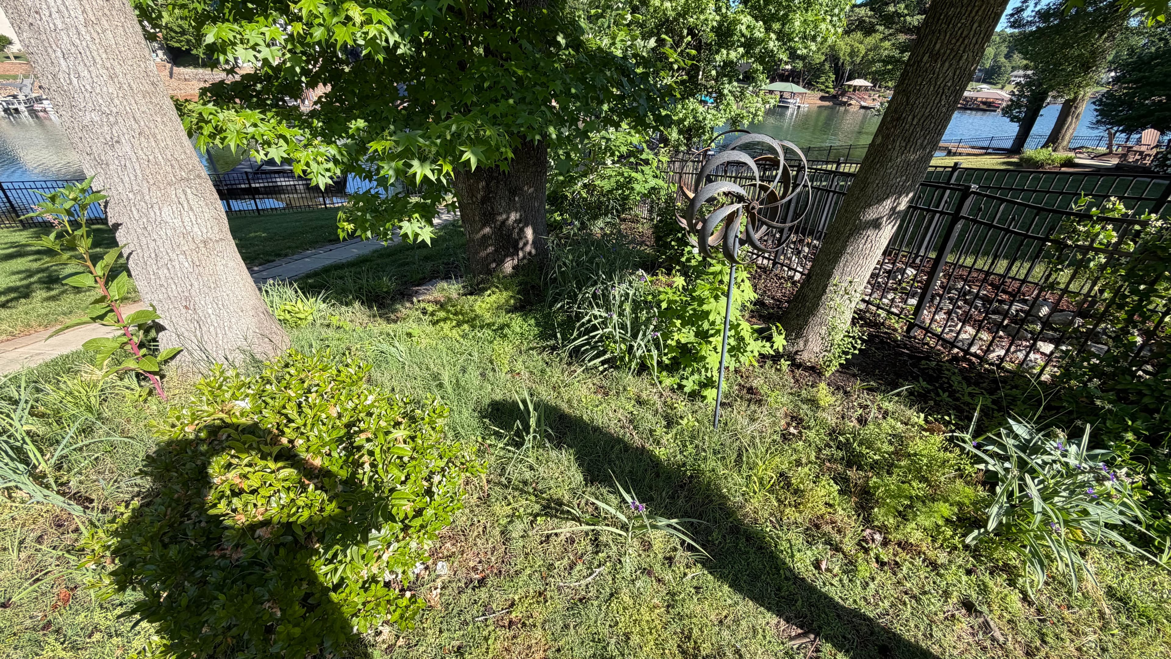 Before — overgrown, weedy waterfront bed