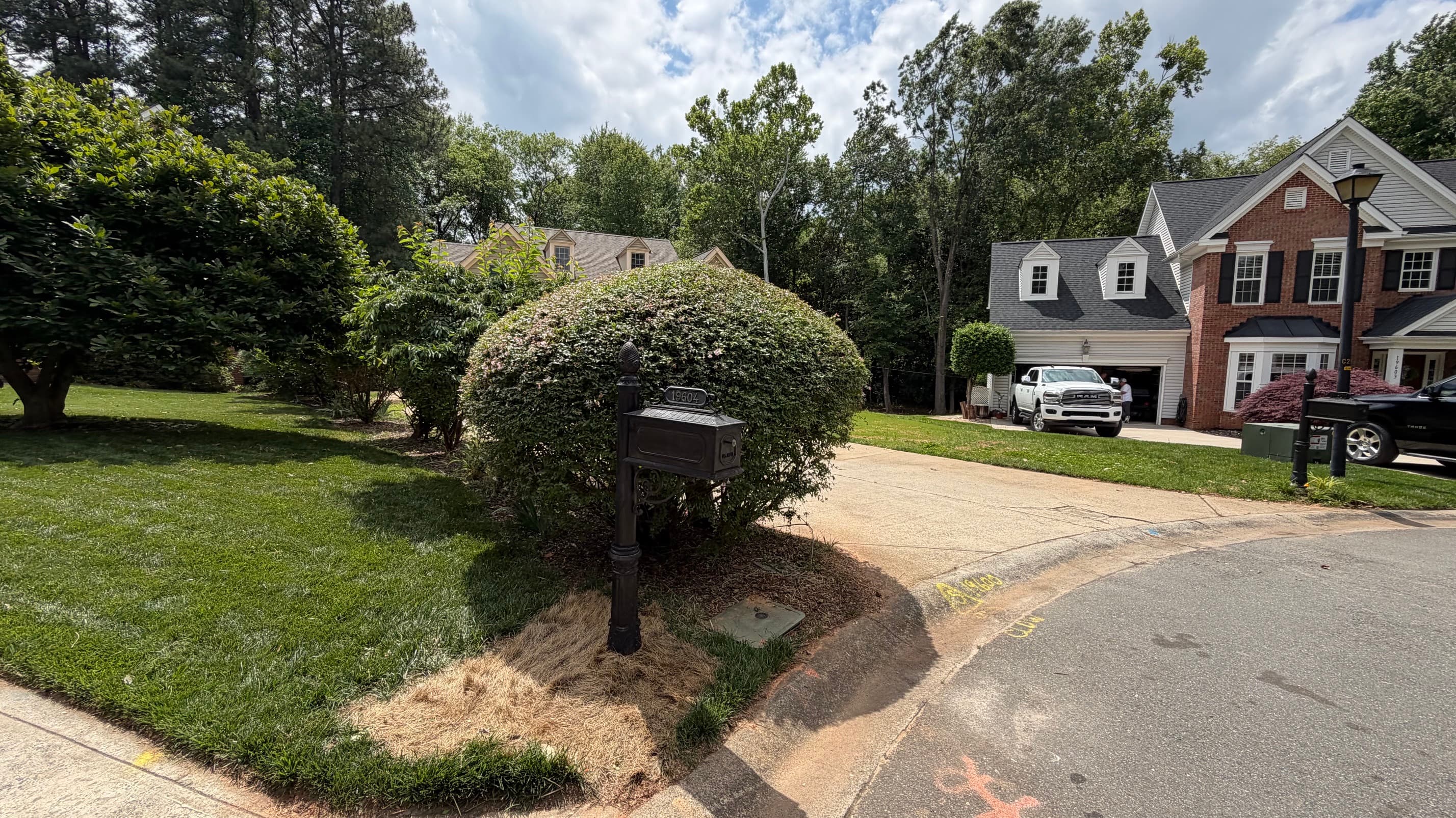 Shrub Pruning — After — Shrub Pruning